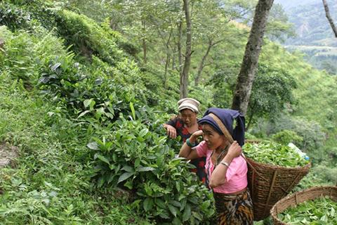 KTE & New Sadle, Nepal